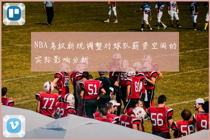 NBA鸟权新规调整对球队薪资空间的实际影响分析