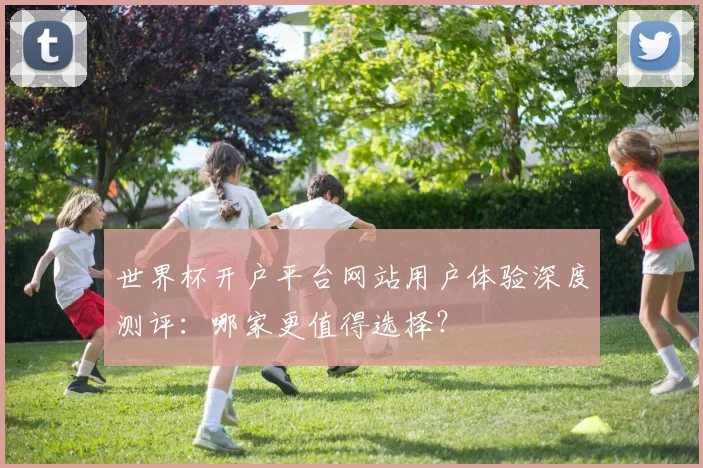 世界杯开户平台网站用户体验深度测评:哪家更值得选择?