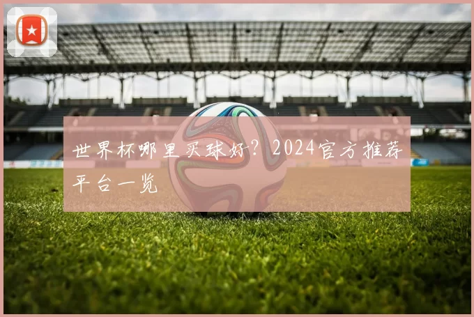 世界杯哪里买球好?2024官方推荐平台一览