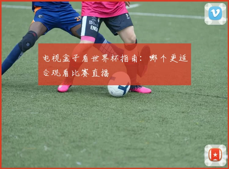 电视盒子看世界杯指南：哪个更适合观看比赛直播