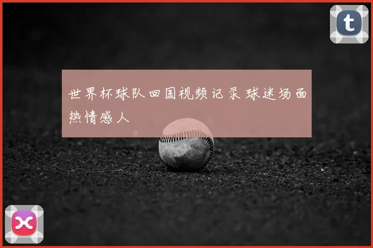 世界杯球队回国视频记录 球迷场面热情感人