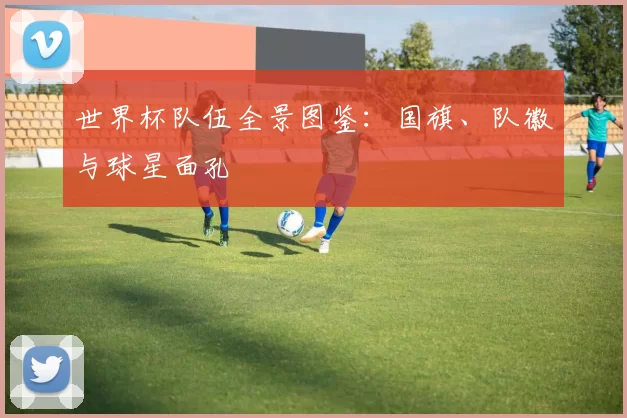 世界杯队伍全景图鉴：国旗、队徽与球星面孔