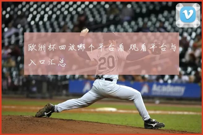 欧洲杯回放哪个平台看 观看平台与入口汇总