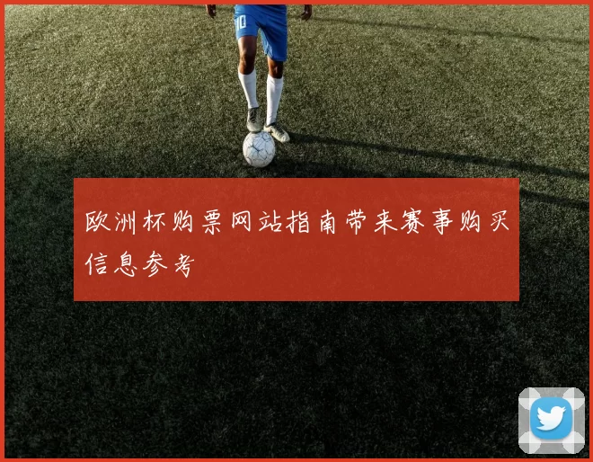 欧洲杯购票网站指南带来赛事购买信息参考