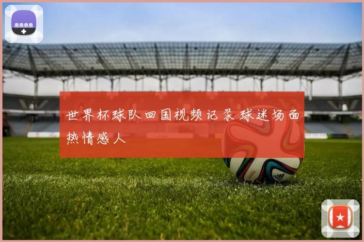 世界杯球队回国视频记录 球迷场面热情感人
