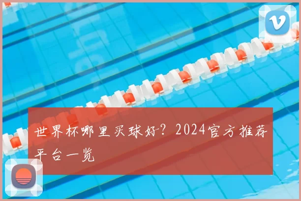 世界杯哪里买球好？2024官方推荐平台一览