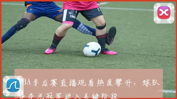 NBA季后赛直播观看热度攀升，球队争夺总冠军进入关键阶段