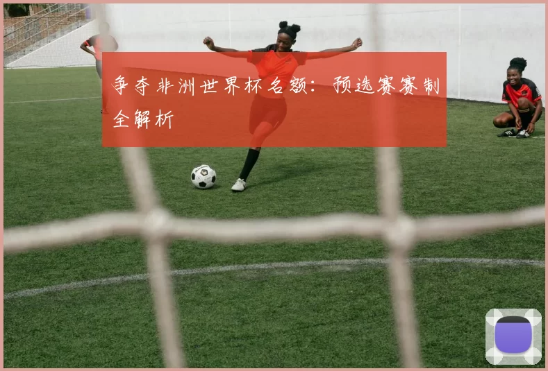 争夺非洲世界杯名额:预选赛赛制全解析