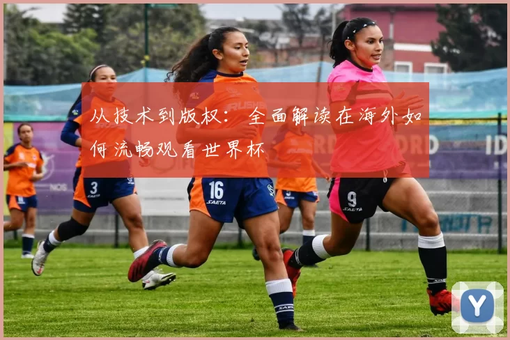 从技术到版权:全面解读在海外如何流畅观看世界杯