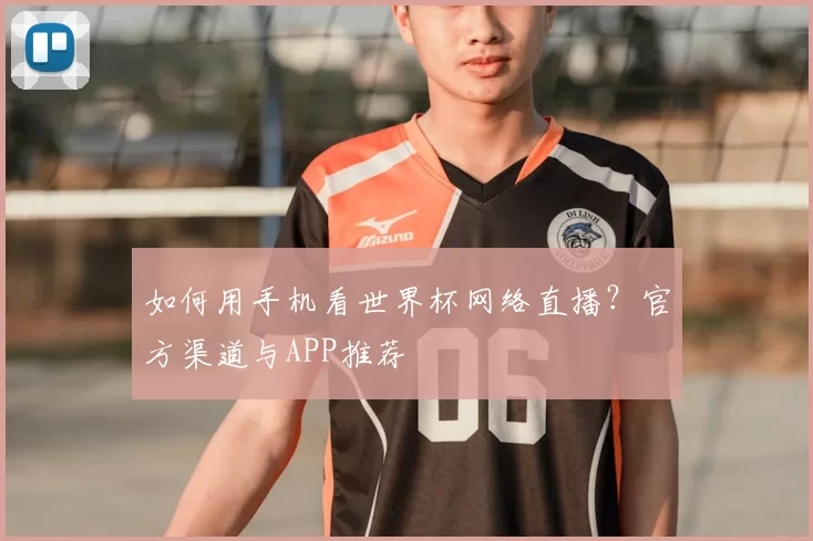 如何用手机看世界杯网络直播？官方渠道与APP推荐
