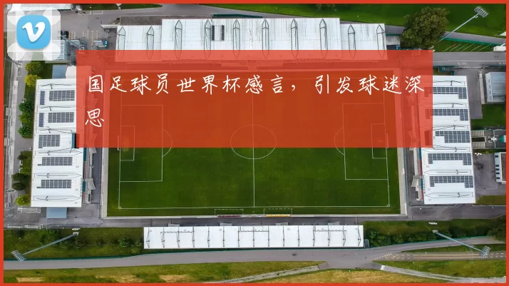 国足球员世界杯感言,引发球迷深思