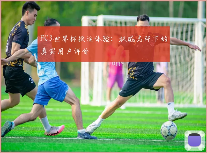 FC3世界杯投注体验：权威光环下的真实用户评价